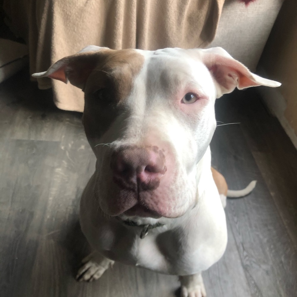 Meet your Posher, Aurora